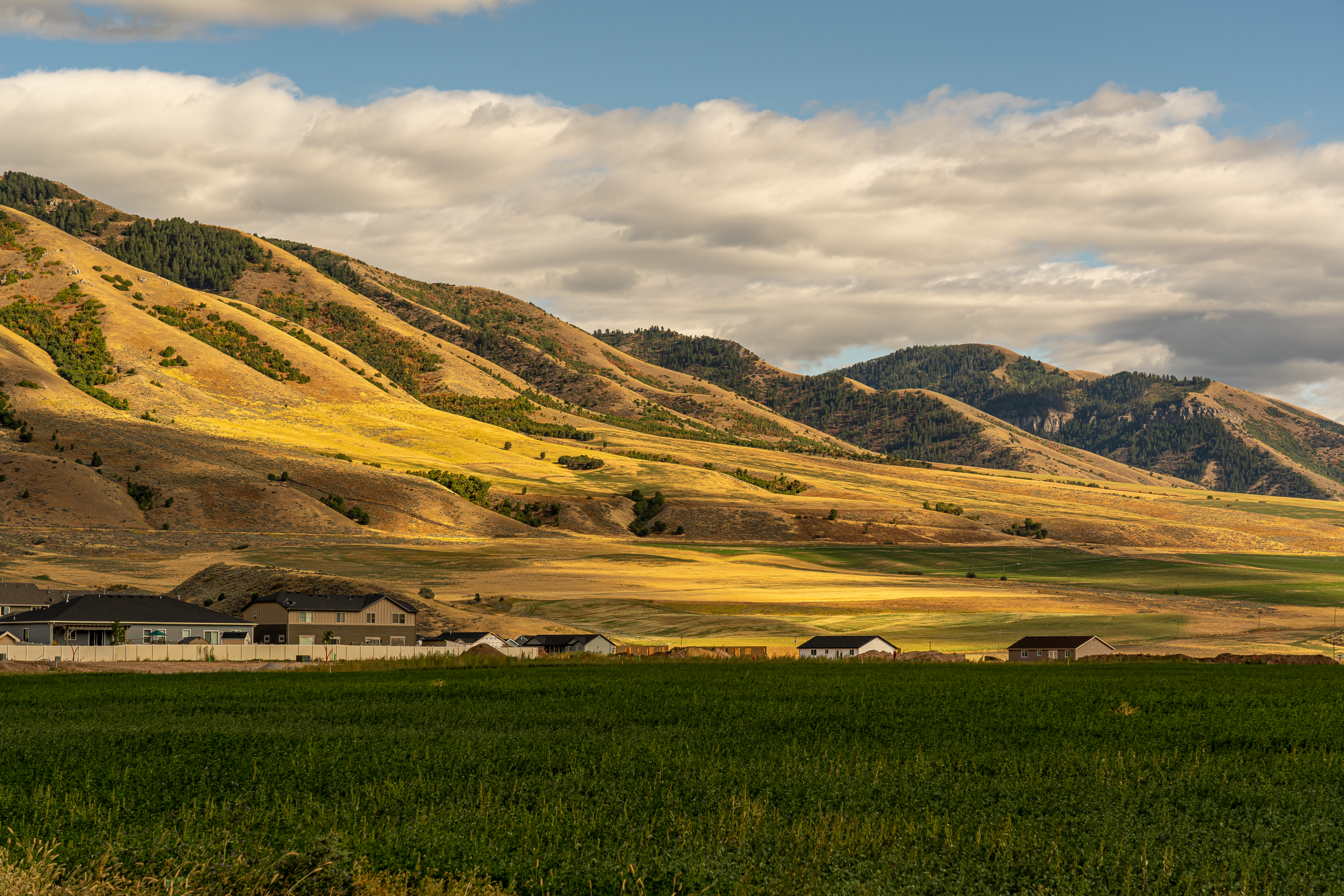Vue pittoresque des collines et champs de campagne