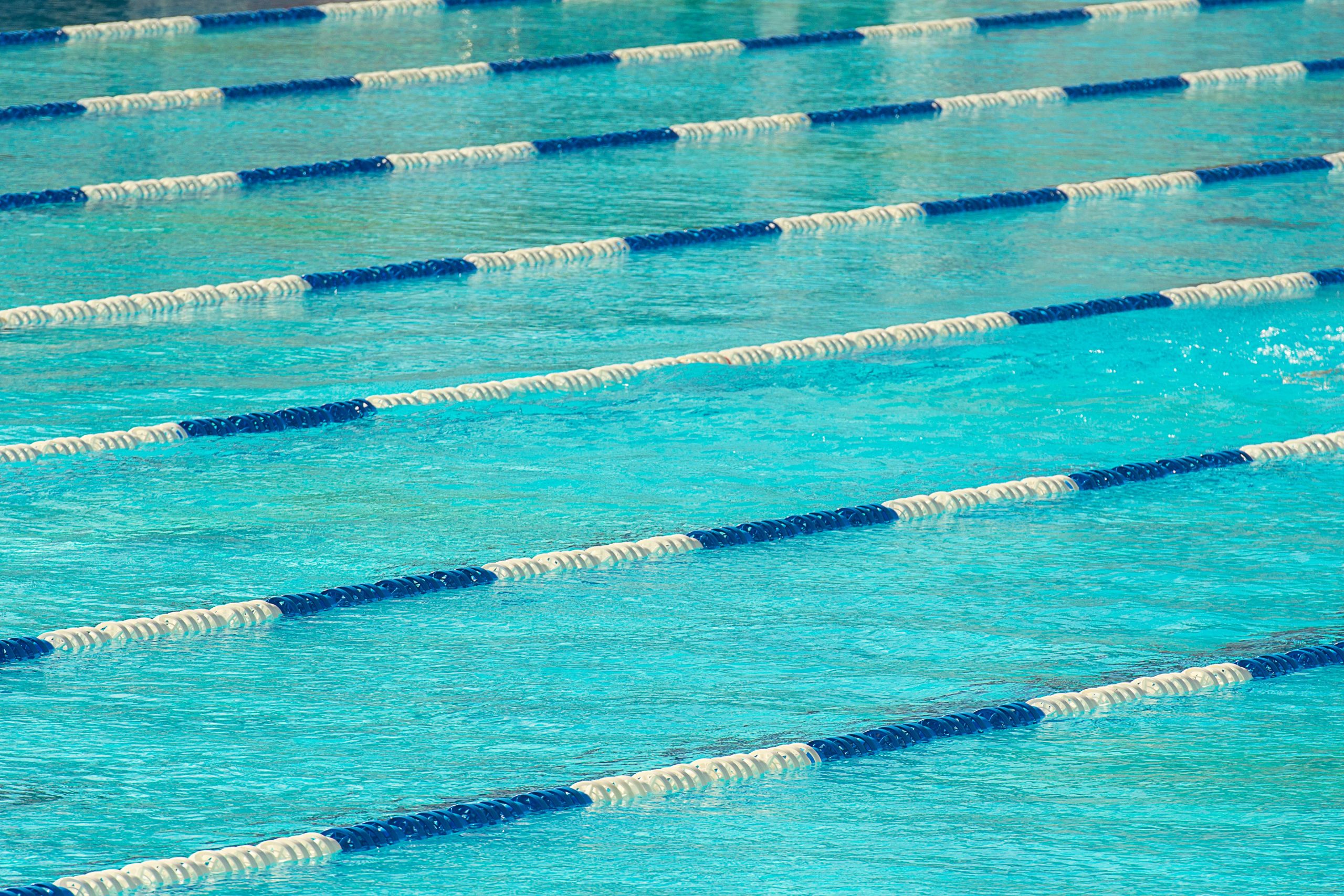 Piscine olympique avec séparateurs de nage